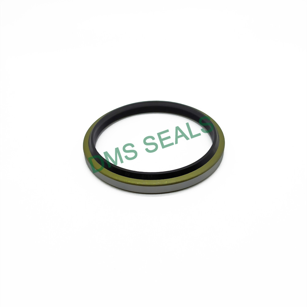 DMS Seals split oil seals suppliers supply for larger piston clearance-3
