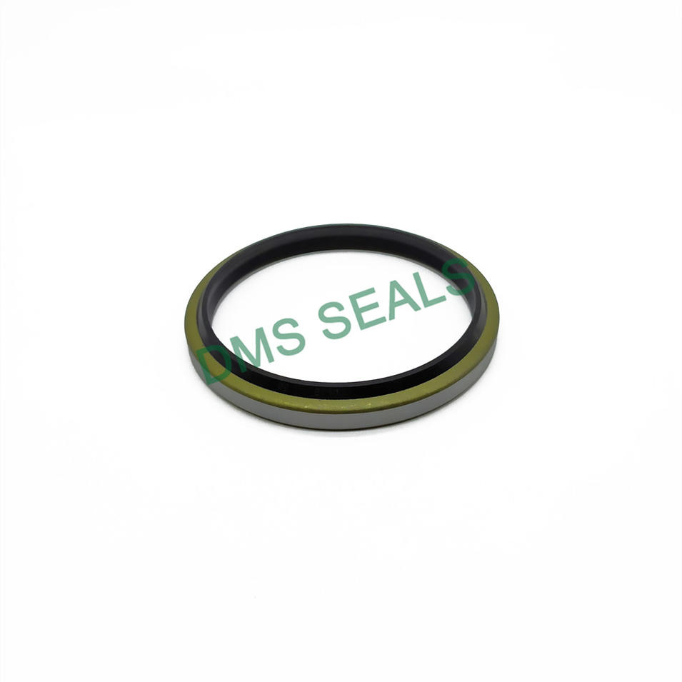Hydraulic Cylinder Rubber NBR Metal Dust oil seals Wiper Seals DKB