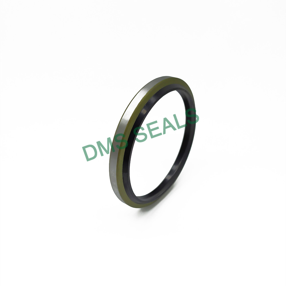 DMS Seals shaft seal manufacturers for sale for larger piston clearance-4