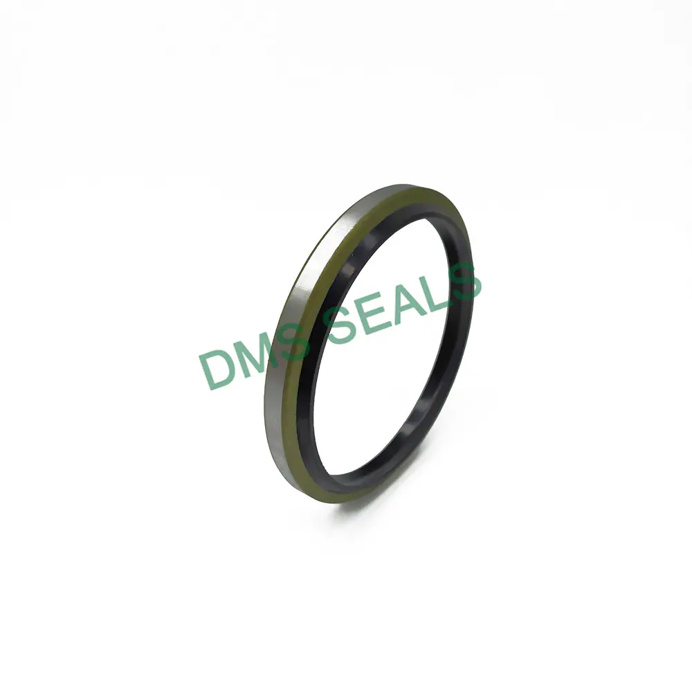 Factory Direct Dust Seals Dkb Steel Dust Wiper Seal Scraper Seal