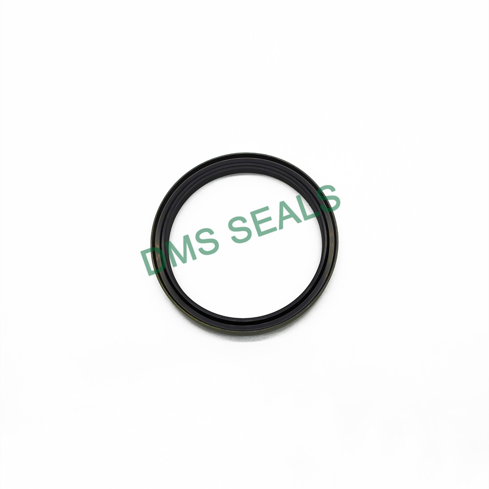 product-DMS Seals-DMS Seals split oil seals suppliers supply for larger piston clearance-img
