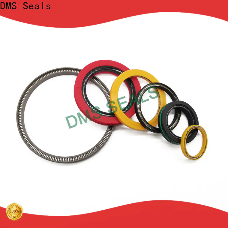 DMS Seals High-quality energized seal factory for valves