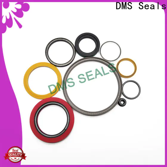 Custom made spring energized teflon seals supplier for fracturing