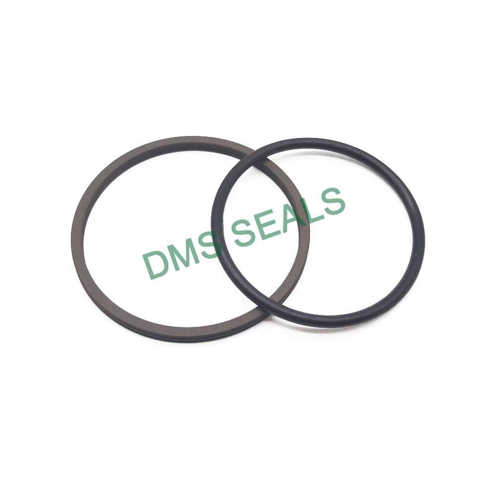news-DMS Seals-DMS Seals lip type oil seal vendor for automotive equipment-img
