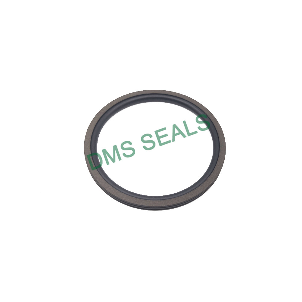 DMS Seals how does a rotary lip seal work factory for construction machinery-1