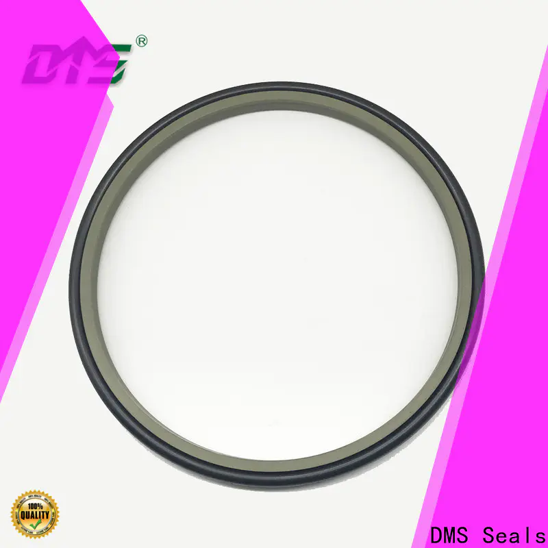 DMS Seals Bulk buy wiper seal material supplier for hydraulic cylinder