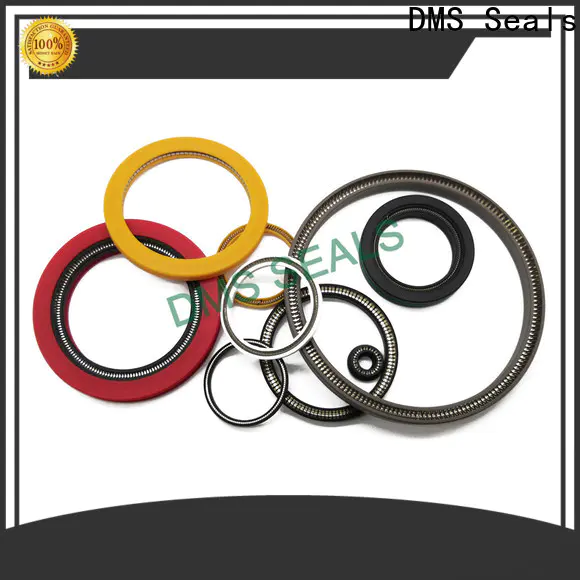 Buy spring energized seals company for fracturing