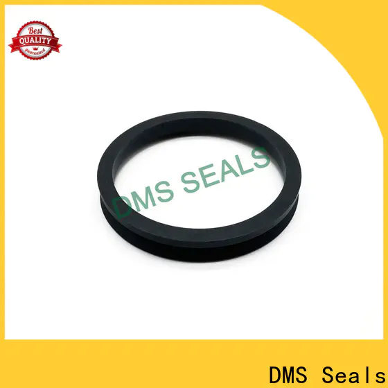 DMS Seals hydraulic packing kits cost for pressure work and sliding high speed occasions