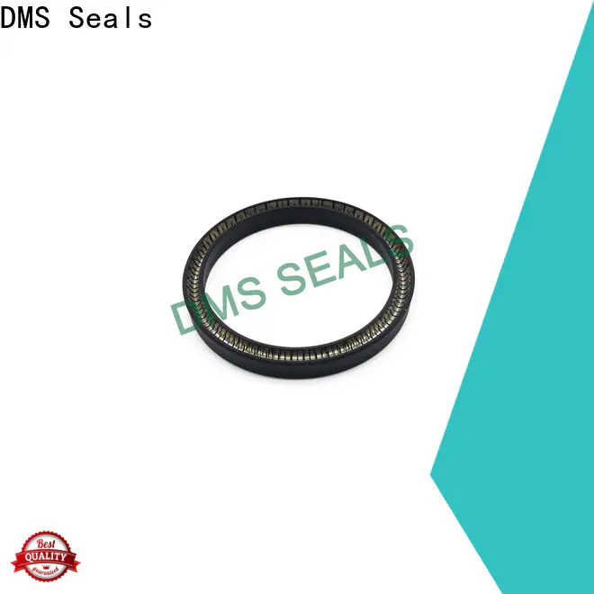 DMS Seals High-quality spring seals wholesale for reciprocating piston rod or piston single acting seal
