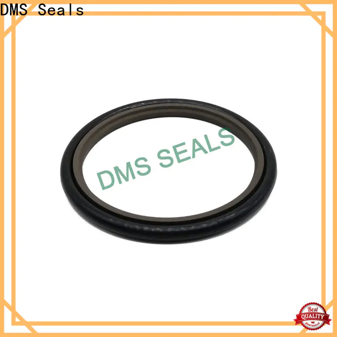 DMS Seals cylinder rod seal cost for sale