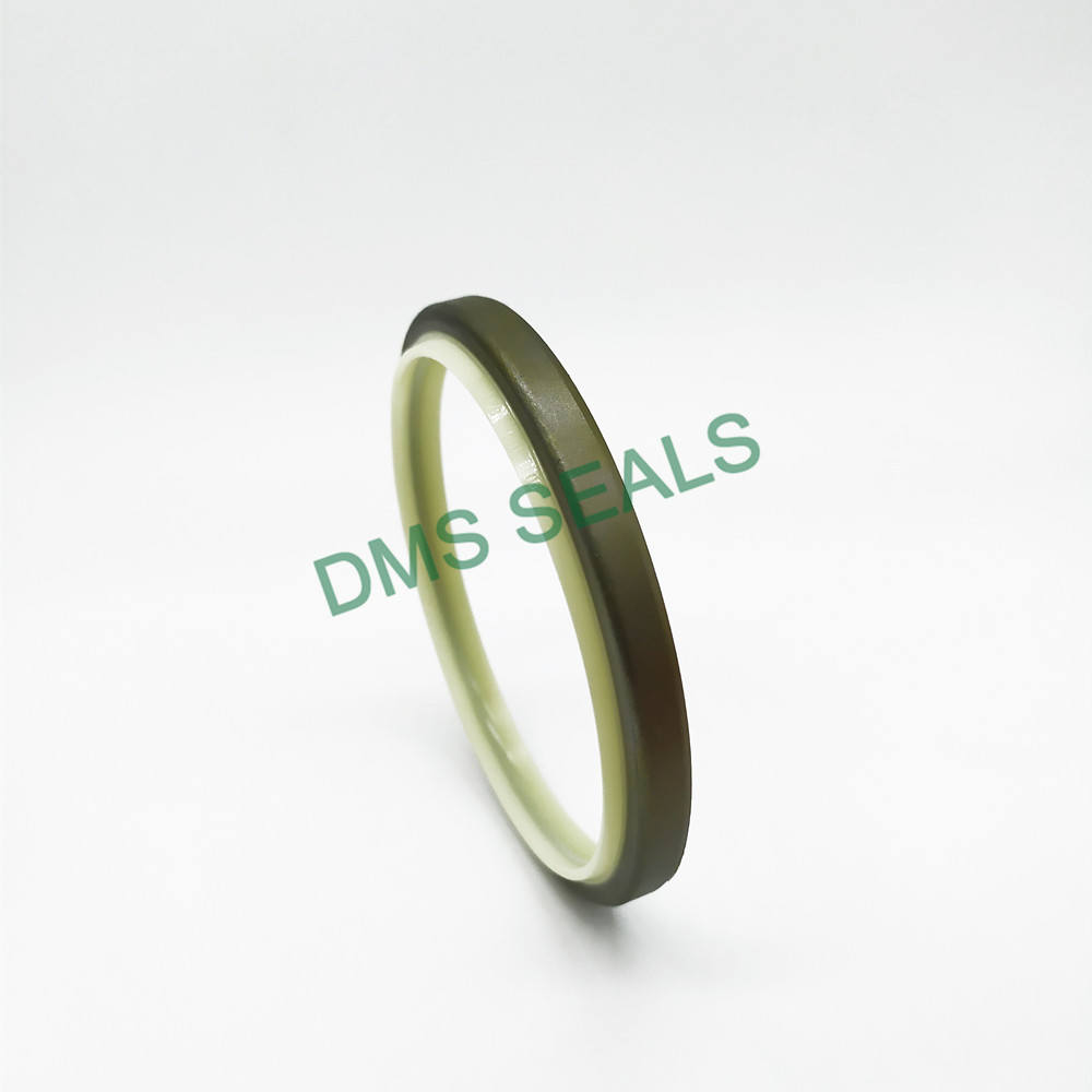 DMS Seals mechanical shaft seals springs manufacturer for piston and hydraulic cylinder-4