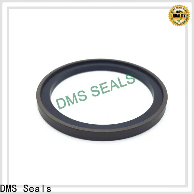 DMS Seals hydraulic piston seal installation manufacturer for pneumatic equipment