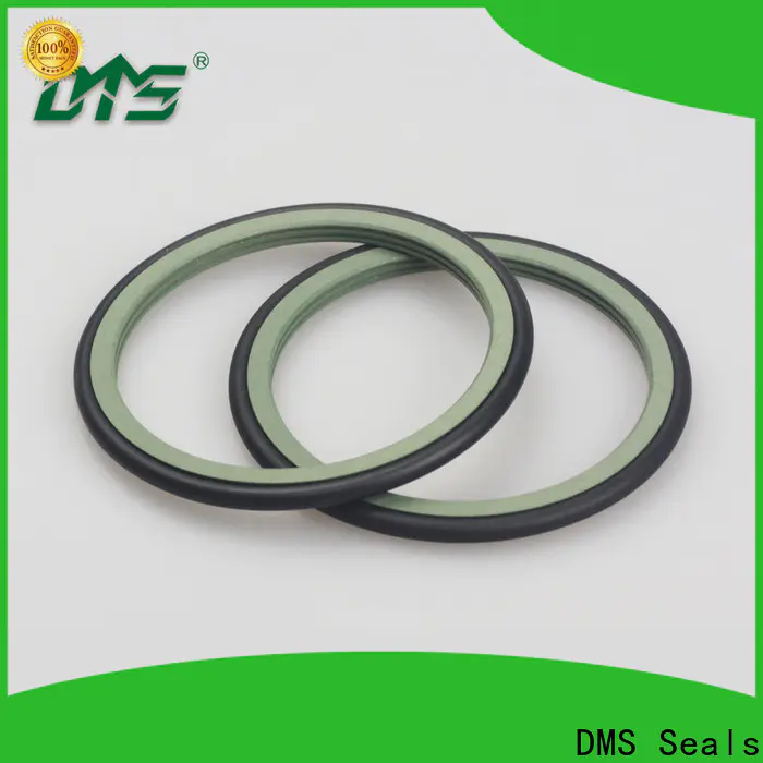 DMS Seals Best dripless shaft seal replacement cost for construction machinery