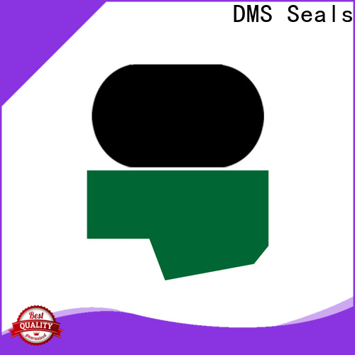 DMS Seals New hydraulic cylinder piston seal leakage company for sale
