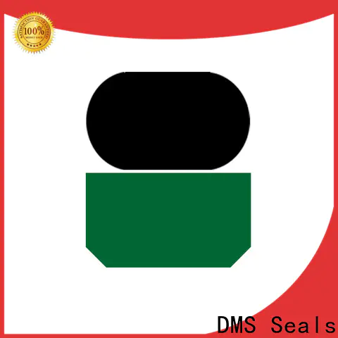 DMS Seals high end hydraulic rubber seal supplier for pressure work and sliding high speed occasions
