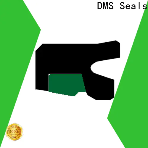 DMS Seals Custom cheap oil seals supply for sale