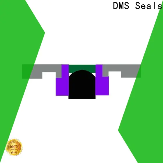 DMS Seals hydraulic valve seals vendor for sale