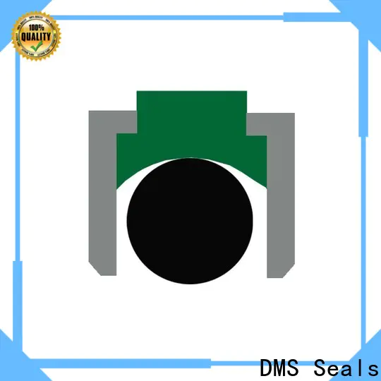 DMS Seals hydraulic seals companies wholesale for pneumatic equipment