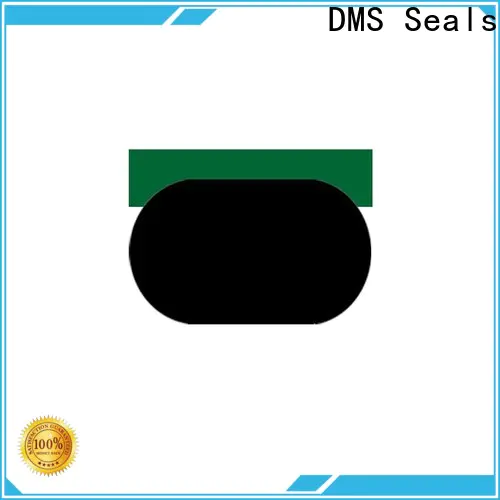 DMS Seals Best 4 inch hydraulic cylinder seal kit supply for pneumatic equipment