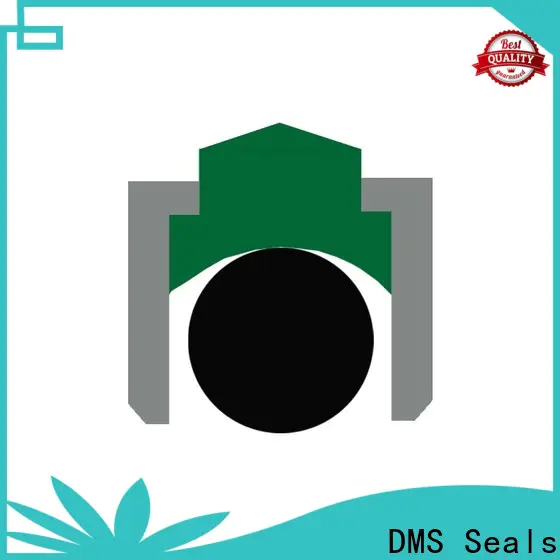 DMS Seals Best marine oil seals price for automotive equipment