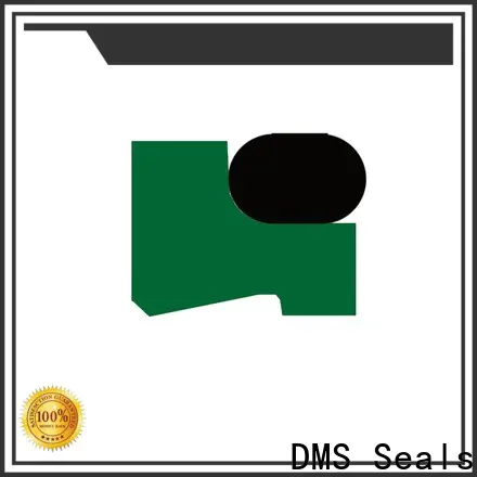 DMS Seals Latest hydraulic piston cup seals company for injection molding machines