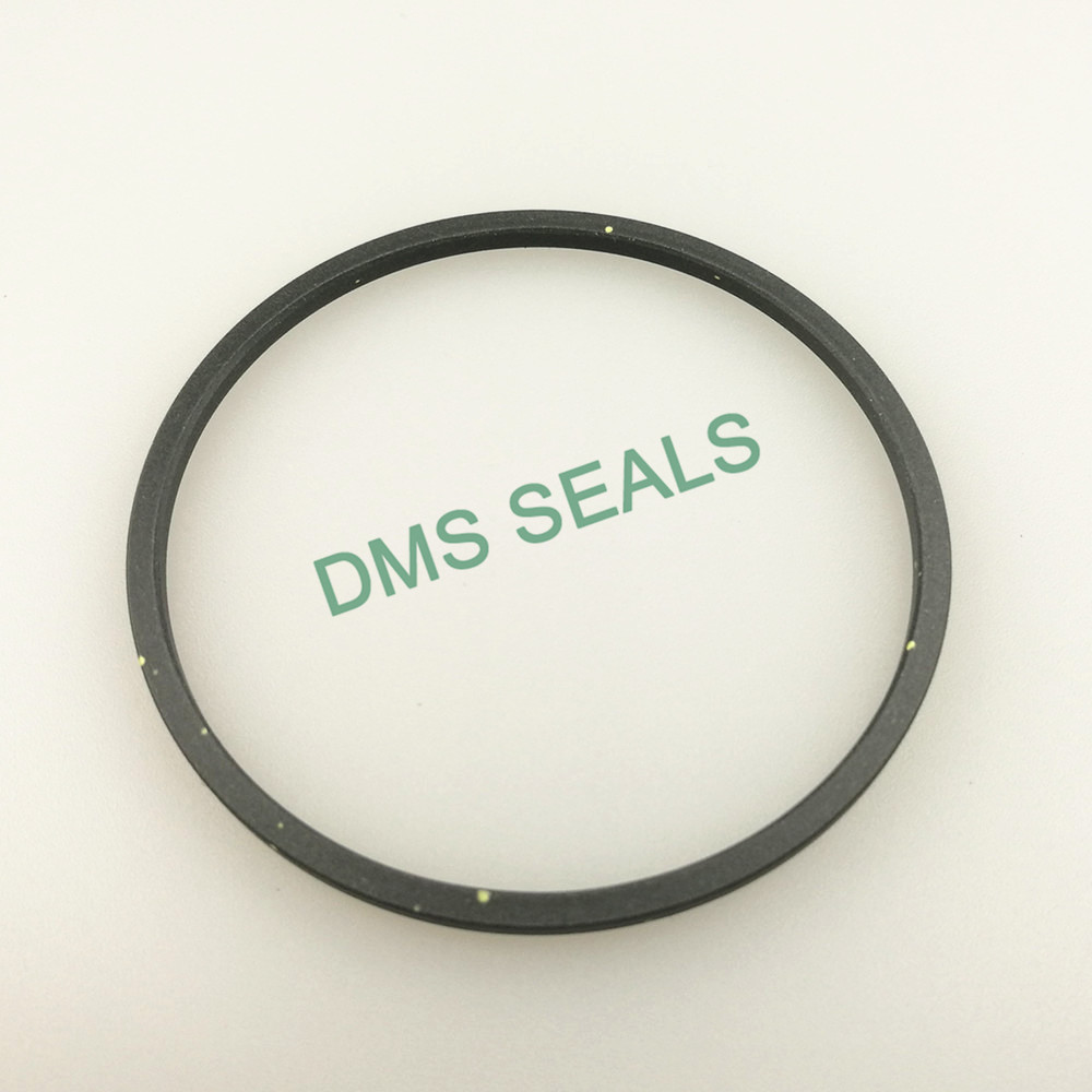 DMS Seals Custom rubber seal strip suppliers supplier for larger piston clearance-3