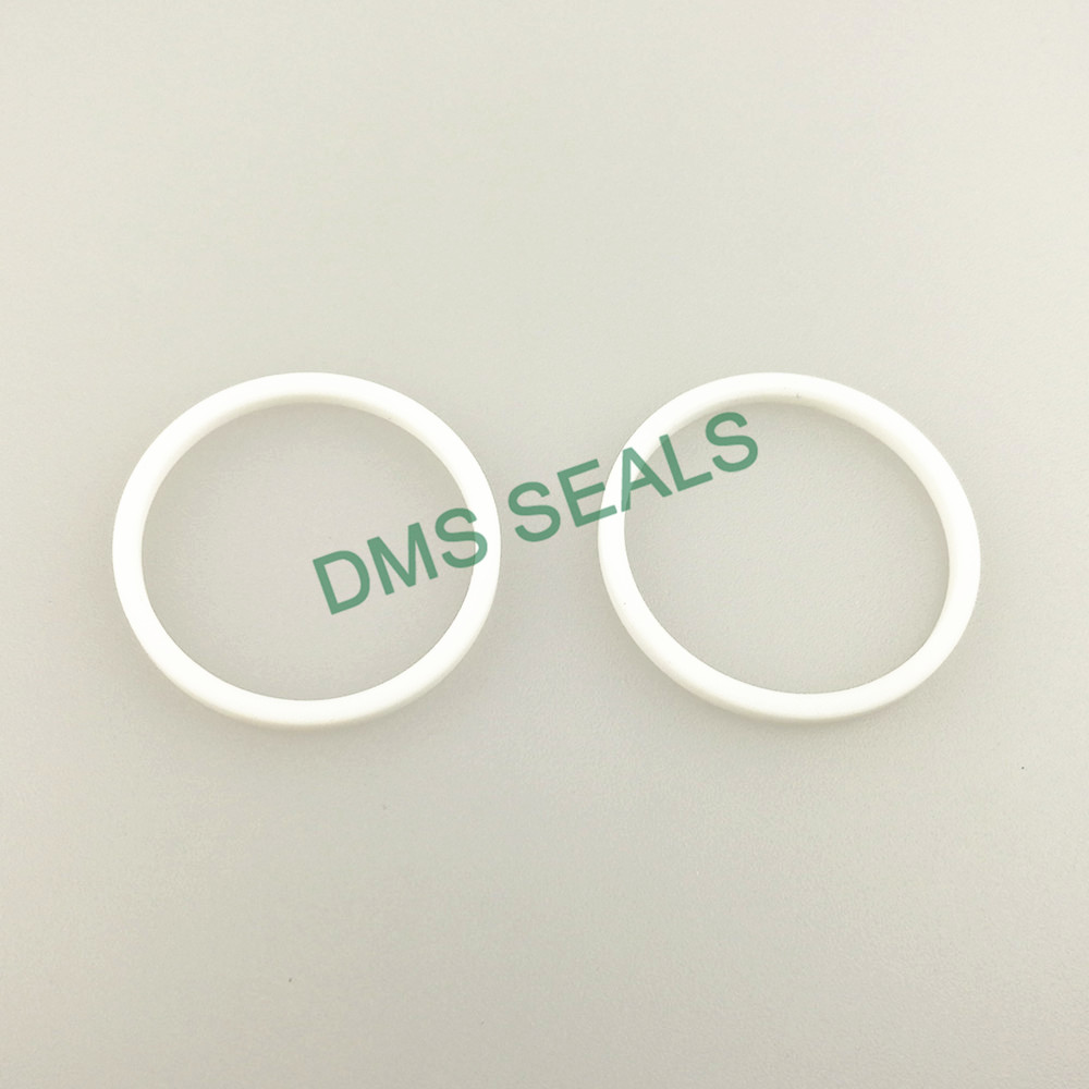 DMS Seals crane mechanical seals company for larger piston clearance-4