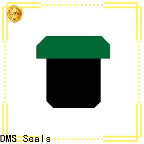 DMS Seals cylinder rod seal for sale for sale