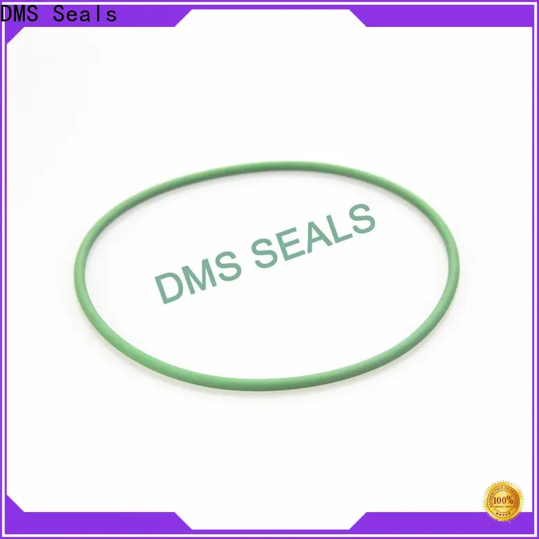 DMS Seals rubber o ring 5mm company for static sealing