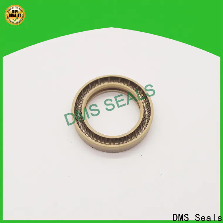 DMS Seals oil seal manufacturer manufacturer for reciprocating piston rod or piston single acting seal