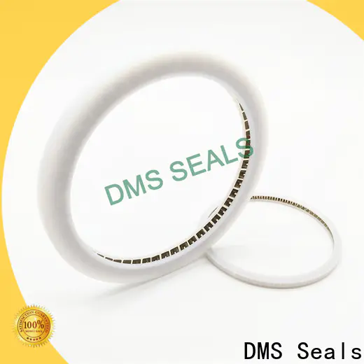 DMS Seals DMS Seals rotary seals manufacturer supplier for aviation