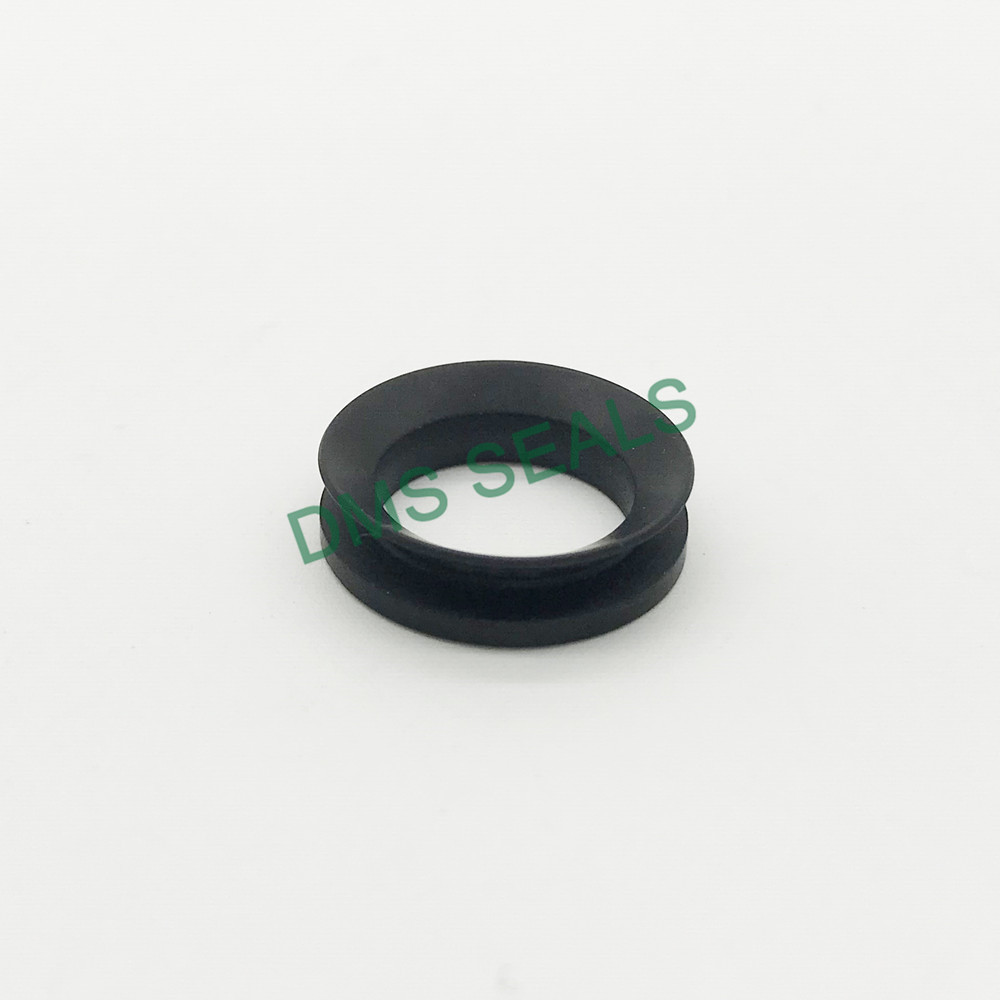 DMS Seals ptfe rotary shaft seals for housing-2