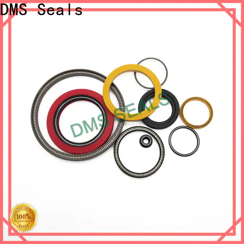 DMS Seals mechanical seal arrangement vendor for reciprocating piston rod or piston single acting seal