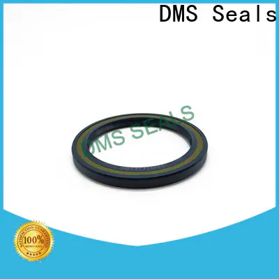 Customized perfect oil seals company for low and high viscosity fluids sealing