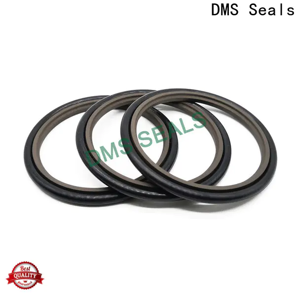 Latest shaft seals for pumps wholesale for larger piston clearance