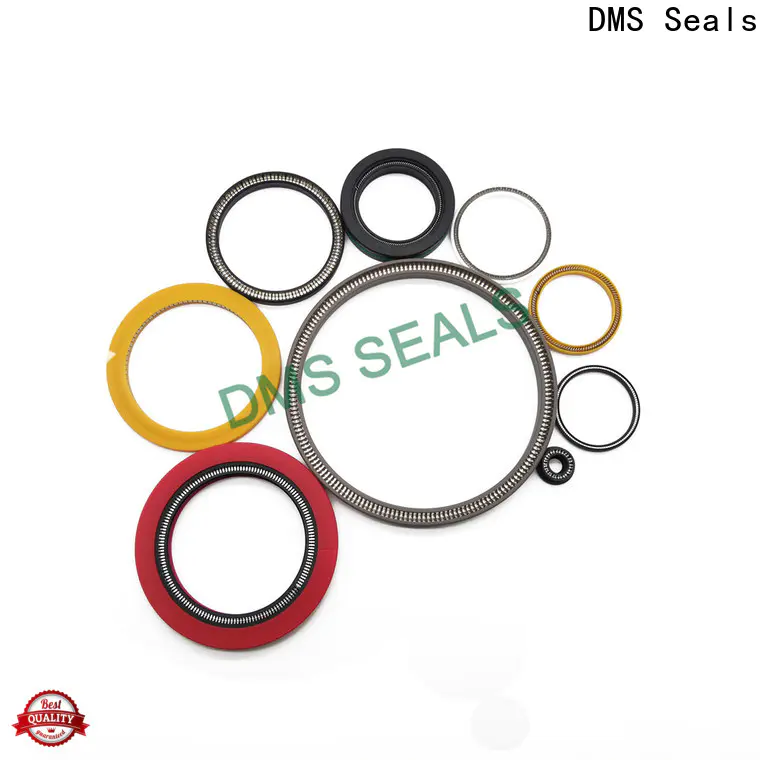DMS Seals Customized spring energised seal factory price for fracturing