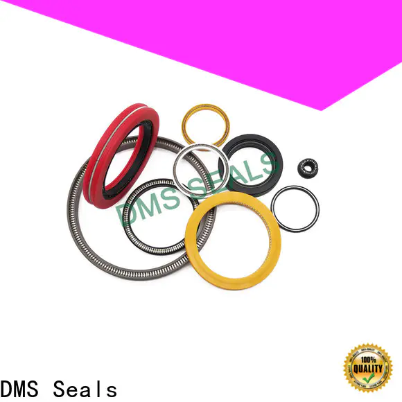 DMS Seals Professional spring energised seal factory price for cementing