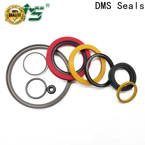 DMS Seals spring energized ptfe seal for fracturing