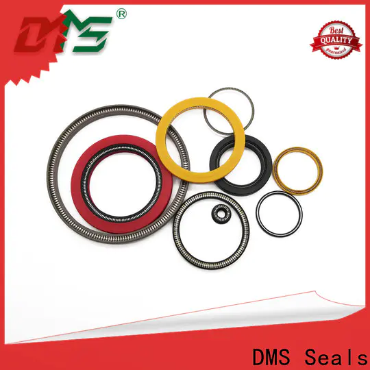 DMS Seals energized seal for sale for acidizing