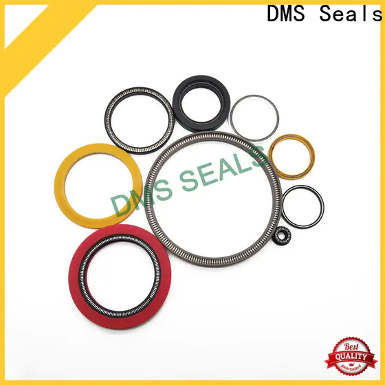 DMS Seals Best spring loaded double lip seal company for reciprocating piston rod or piston single acting seal