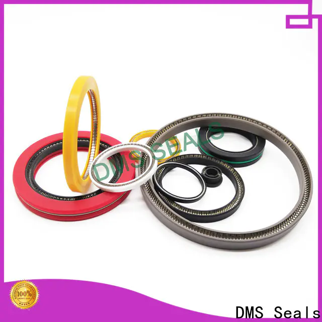 DMS Seals multi spring seal factory for reciprocating piston rod or piston single acting seal