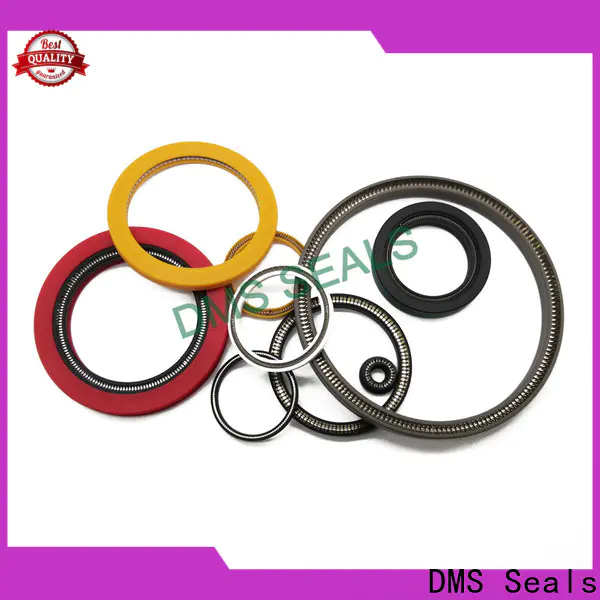 DMS Seals Custom made parker spring energized seals factory price for acidizing