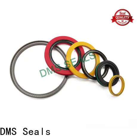 DMS Seals Best spring energised seal wholesale for cementing