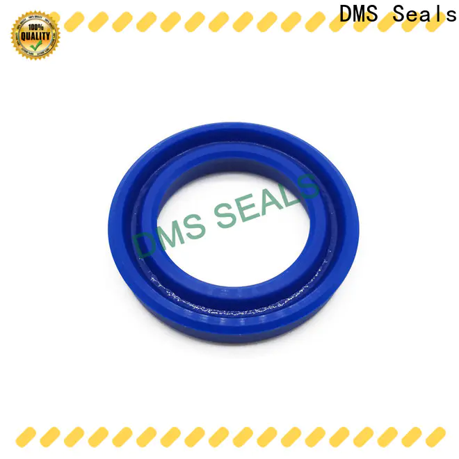 Professional common seal manufacturers company for larger piston clearance