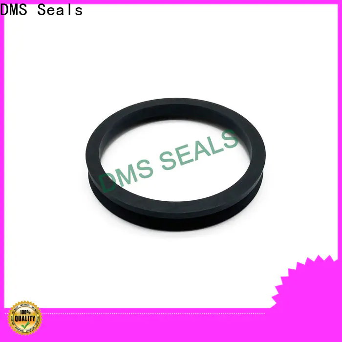 DMS Seals wiper seal factory for sale