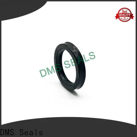 DMS Seals rotary shaft seals online vendor for housing