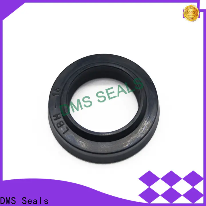 DMS Seals rotary seals manufacturer for larger piston clearance