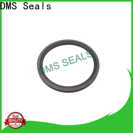 DMS Seals how does a rotary lip seal work factory for construction machinery