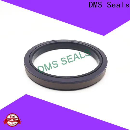 DMS Seals DMS Seals kit seal cylinder factory price for light and medium hydraulic systems