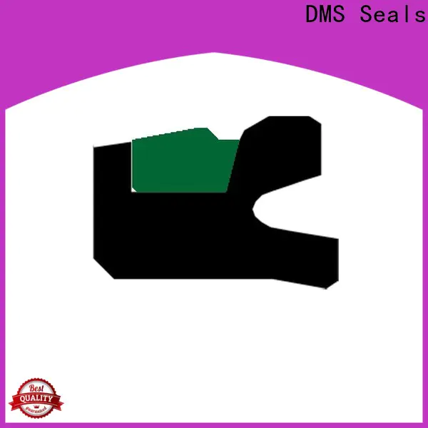 DMS Seals cylinder rod seal vendor for pneumatic equipment